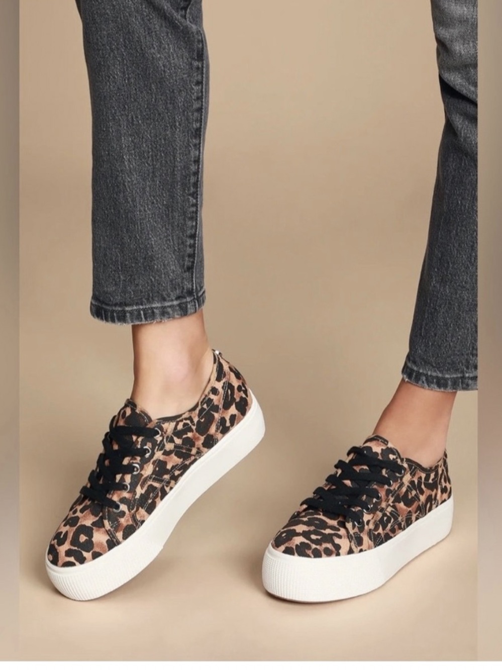 Steve Madden Womens Emmi Platform Sneakers in Leopard 6.5M Superb Clean!